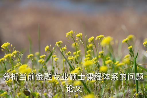 分析當前金融專業(yè)碩士課程體系的問題 論文