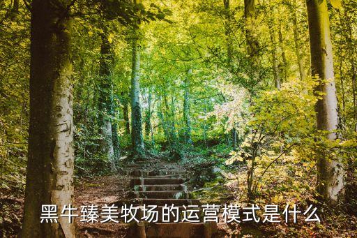 黑牛臻美牧場(chǎng)的運(yùn)營模式是什么