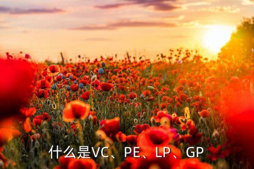什么是VC、PE、LP、GP