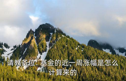 請(qǐng)教各位: 基金的近一周漲幅是怎么計(jì)算來的