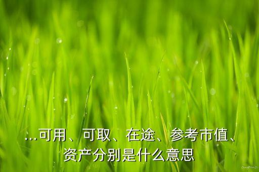 ...可用、可取、在途、參考市值、資產(chǎn)分別是什么意思