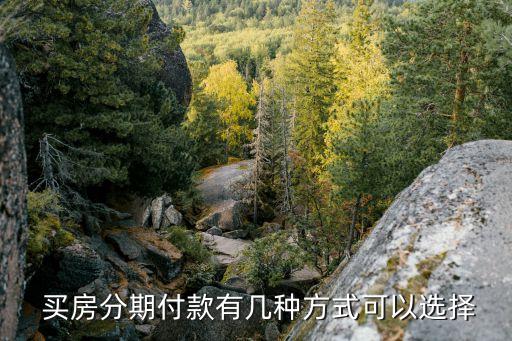  買(mǎi)房分期付款有幾種方式可以選擇