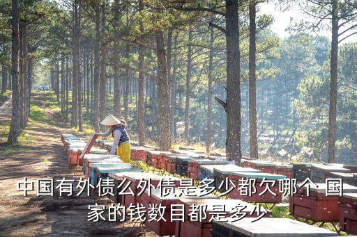 中國(guó)有外債么外債是多少都欠哪個(gè) 國(guó)家的錢(qián)數(shù)目都是多少