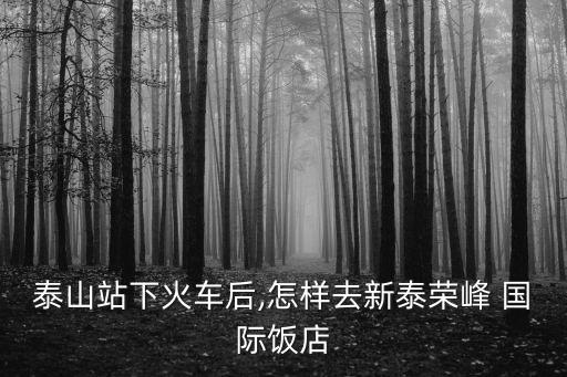 榮豐國(guó)際是誰(shuí)說的公司