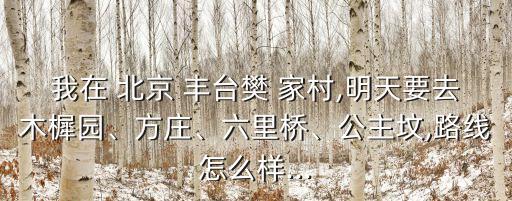 我在 北京 豐臺(tái)樊 家村,明天要去木樨園、方莊、六里橋、公主墳,路線怎么樣...