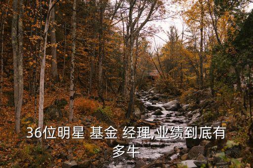 基金經理魏博