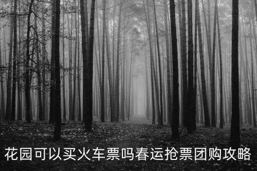 花園可以買(mǎi)火車(chē)票嗎春運(yùn)搶票團(tuán)購(gòu)攻略