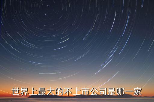 世界上最大的不上市公司是哪一家