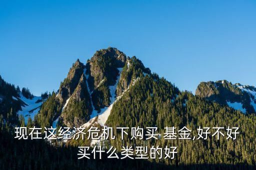 現(xiàn)在這經(jīng)濟(jì)危機(jī)下購(gòu)買 基金,好不好買什么類型的好