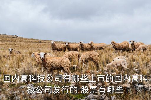 國(guó)內(nèi)高科技公司有哪些上市的國(guó)內(nèi)高科技公司發(fā)行的 股票有哪些