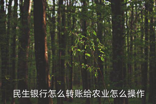 民生銀行資金歸集農行,農行個人資金歸集收費嗎