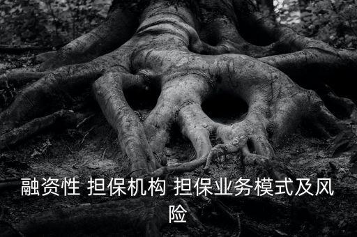 融資性 擔保機構(gòu) 擔保業(yè)務模式及風險