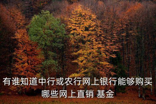 有誰知道中行或農行網(wǎng)上銀行能夠購買哪些網(wǎng)上直銷 基金