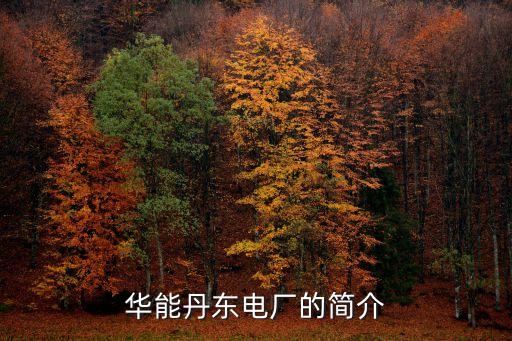 遼寧東港電磁線(xiàn)有限公司