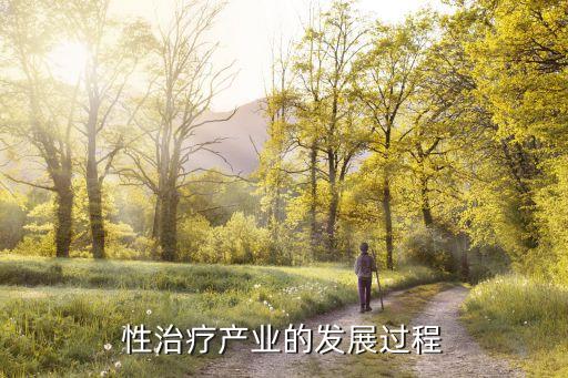 性治療產(chǎn)業(yè)的發(fā)展過程
