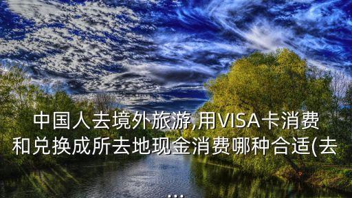 中國人去境外旅游,用VISA卡消費和兌換成所去地現金消費哪種合適(去...