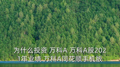 為什么投資 萬科A 萬科A股2021年業(yè)績(jī) 萬科A同花順手機(jī)版