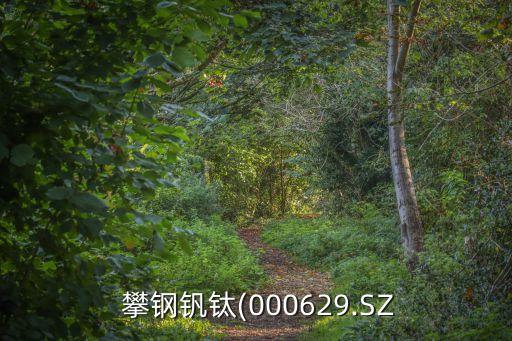  攀鋼釩鈦(000629.SZ