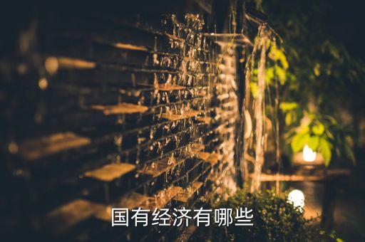 國有經(jīng)濟有哪些