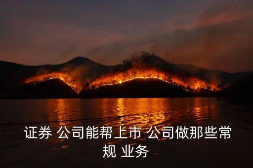  證券 公司能幫上市 公司做那些常規(guī) 業(yè)務(wù)