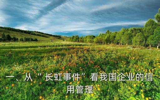 一、從“ 長(zhǎng)虹事件”看我國(guó)企業(yè)的信用管理