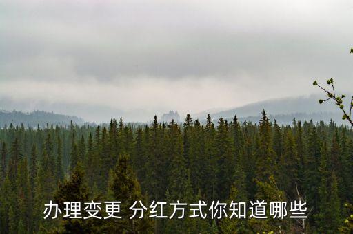基金修改分紅方式,基金分紅方式選哪種好
