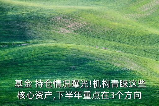  基金 持倉情況曝光!機(jī)構(gòu)青睞這些核心資產(chǎn),下半年重點在3個方向