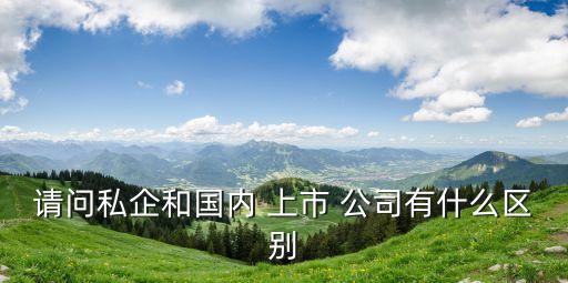請(qǐng)問私企和國(guó)內(nèi) 上市 公司有什么區(qū)別