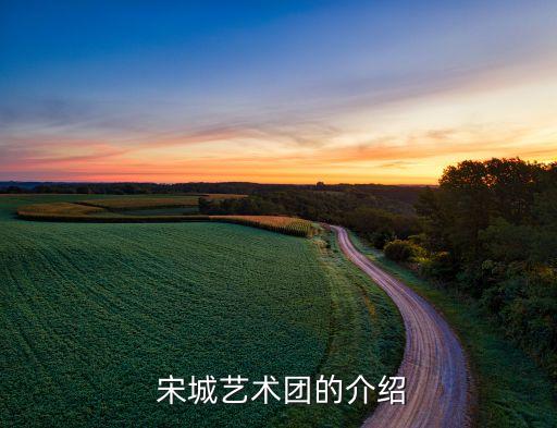  宋城藝術團的介紹