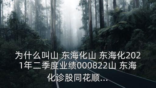 為什么叫山 東?；?東?；?021年二季度業(yè)績(jī)000822山 東?；\股同花順...