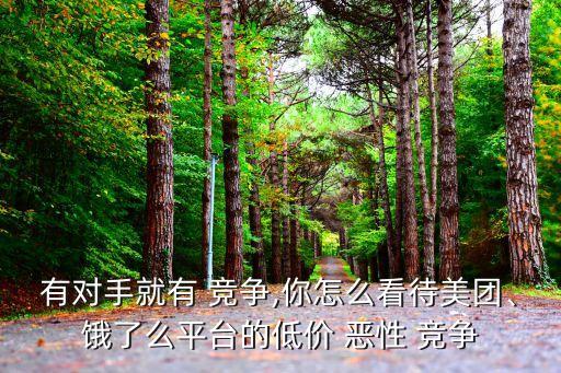 有對手就有 競爭,你怎么看待美團(tuán)、餓了么平臺的低價 惡性 競爭
