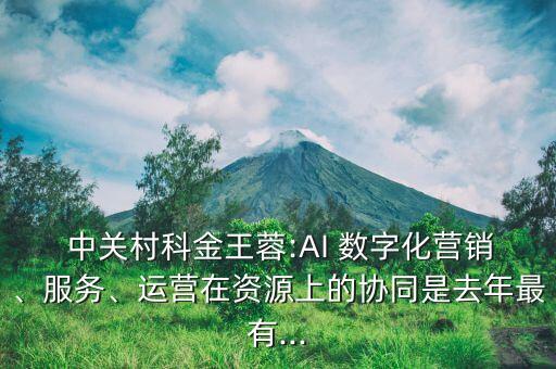  中關(guān)村科金王蓉:AI 數(shù)字化營(yíng)銷(xiāo)、服務(wù)、運(yùn)營(yíng)在資源上的協(xié)同是去年最有...
