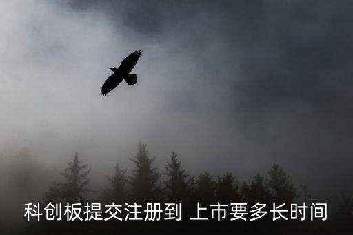 科創(chuàng)板提交注冊(cè)到 上市要多長時(shí)間