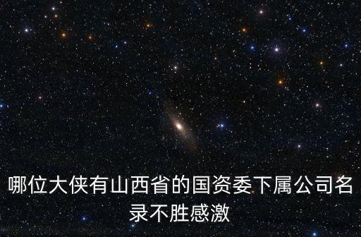 武安市國有資產經營有限公司,杭州蕭山國有資產經營集團有限公司