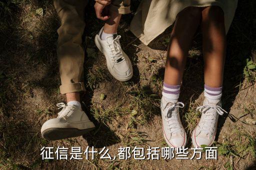 中國個人征信體系,我國的個人征信體系建設(shè)始于