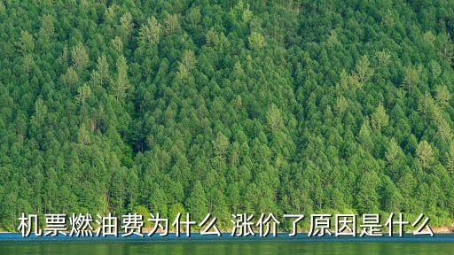 機票燃油費為什么 漲價了原因是什么