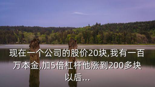 現(xiàn)在一個公司的股價20塊,我有一百萬本金,加5倍杠桿他漲到200多塊以后...