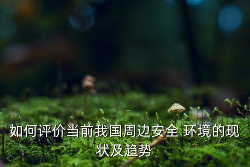如何評(píng)價(jià)當(dāng)前我國周邊安全 環(huán)境的現(xiàn)狀及趨勢(shì)