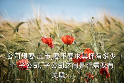 公司想要 上市,要不要求其擁有多少個 子公司, 子公司之間是否需要有關聯(lián)...