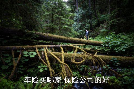 車險(xiǎn)買哪家 保險(xiǎn)公司的好
