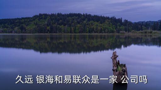  久遠(yuǎn) 銀海和易聯(lián)眾是一家 公司嗎