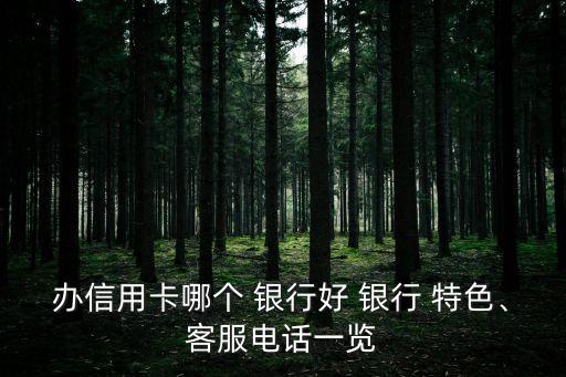 辦信用卡哪個(gè) 銀行好 銀行 特色、客服電話(huà)一覽