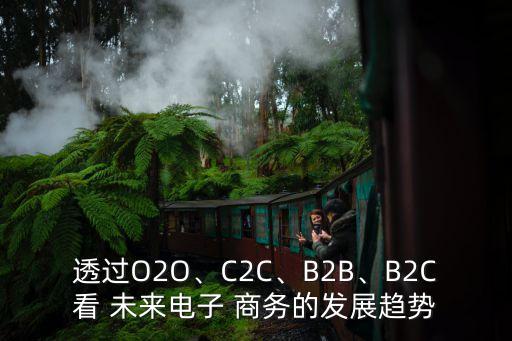 透過O2O、C2C、B2B、B2C看 未來電子 商務(wù)的發(fā)展趨勢