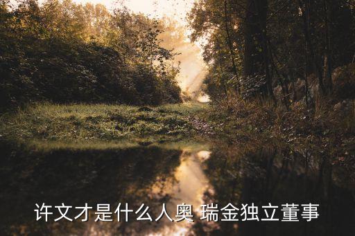 許文才是什么人奧 瑞金獨(dú)立董事