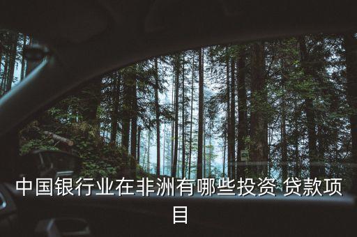 中國銀行業(yè)在非洲有哪些投資 貸款項目