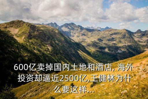 600億賣(mài)掉國(guó)內(nèi)土地和酒店, 海外 投資卻逼近2500億,王健林為什么要這樣...