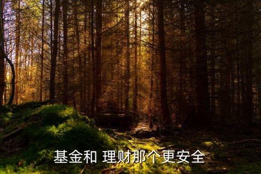 基金和 理財(cái)那個更安全
