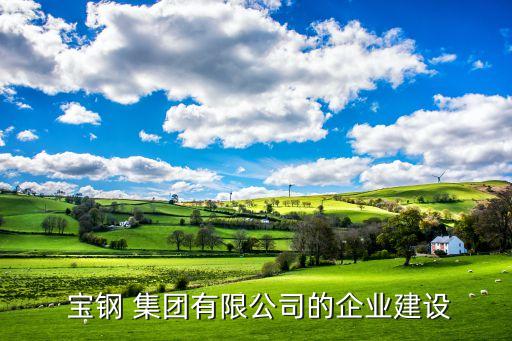  寶鋼 集團有限公司的企業(yè)建設
