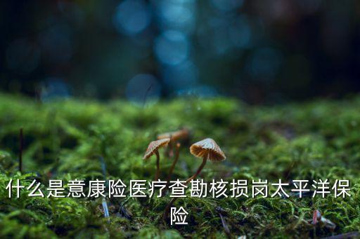 中國(guó)太?；A(chǔ)設(shè)施債權(quán),基礎(chǔ)設(shè)施債權(quán)計(jì)劃