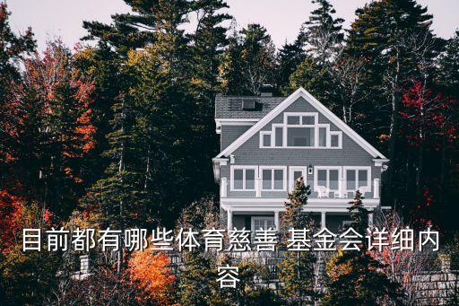 長(zhǎng)江國(guó)弘基金,國(guó)弘基金是什么性質(zhì)